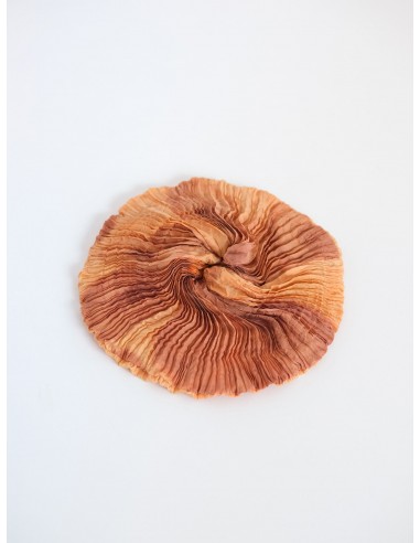 Plissé silk scrunchie Livraison rapide