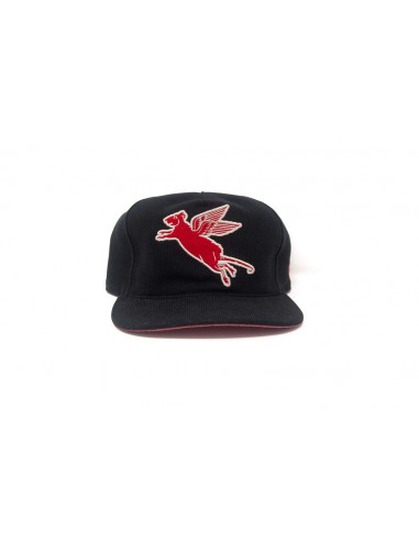 Cap Strapback USA - Ratasus Vous souhaitez 